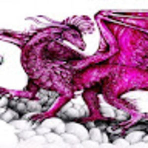 Meet your Posher, Kristin